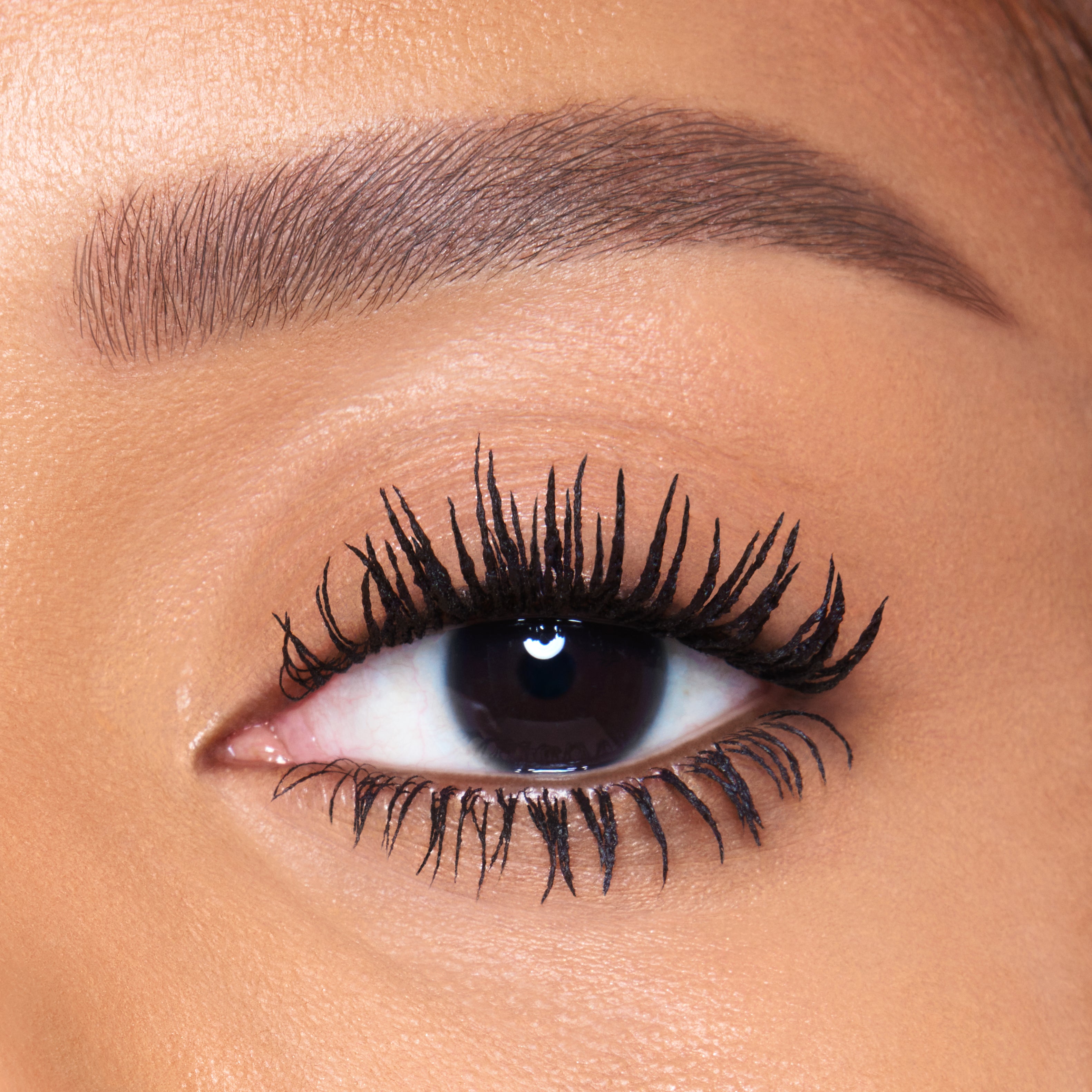 POST-PARTY EYE KIT - EYE KIT - View 3