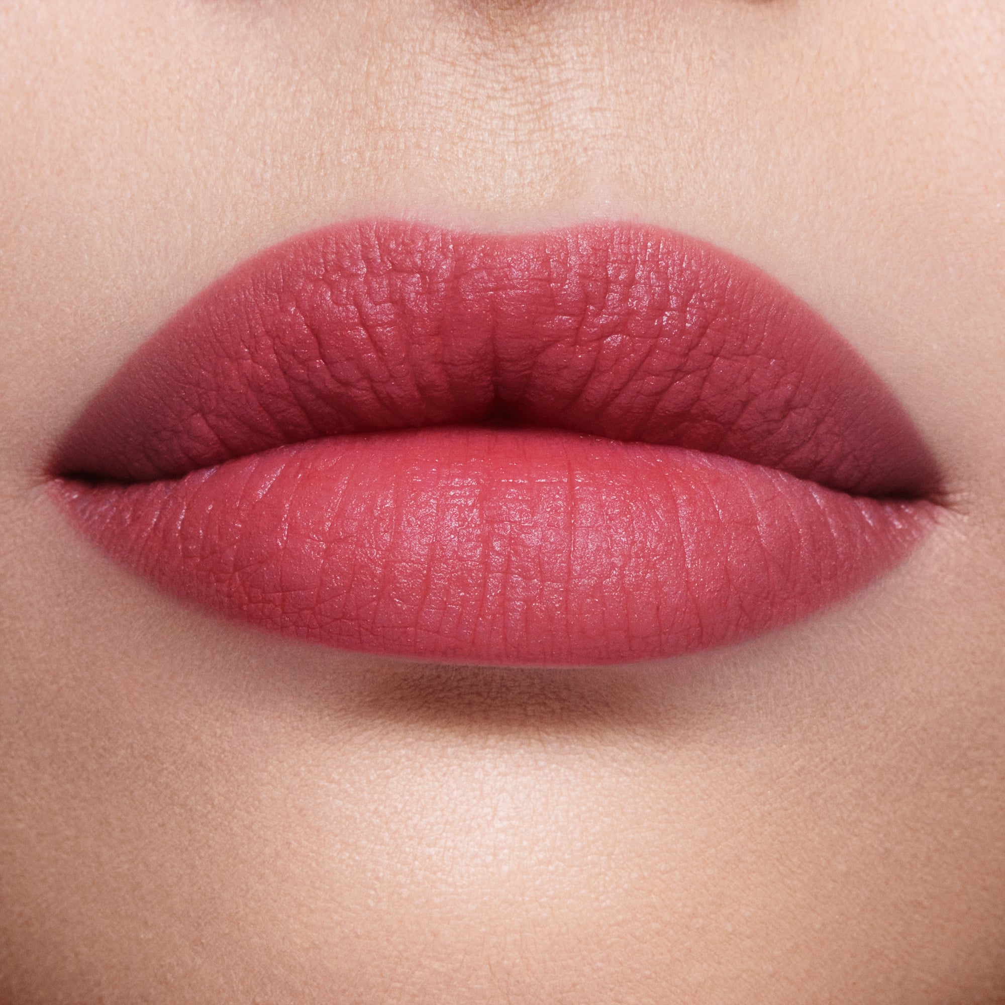 AIRBRUSH FLAWLESS LIP BLUR - ROSE BLUR - View 2