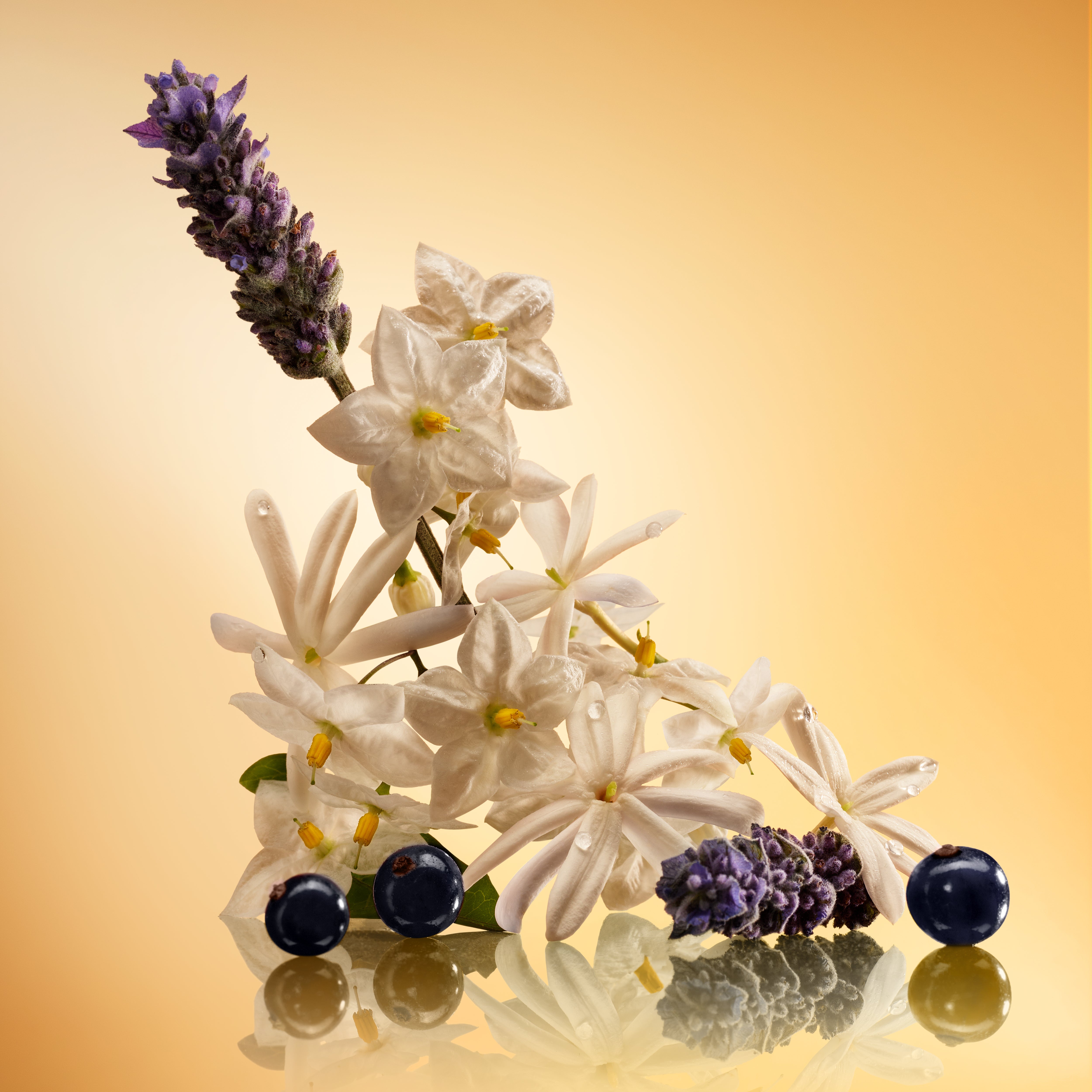 STAR CONFIDENCE - 10 ML FRAGRANCE - View 3